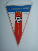 /album/kostelec-na-hane/kostelec-na-hane-tj-sokol-50-21-jpg/